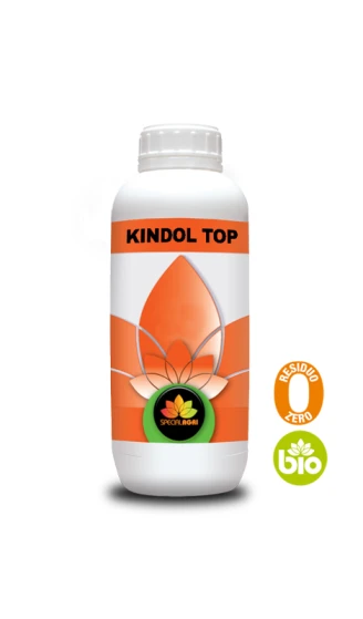 KINDOL TOP